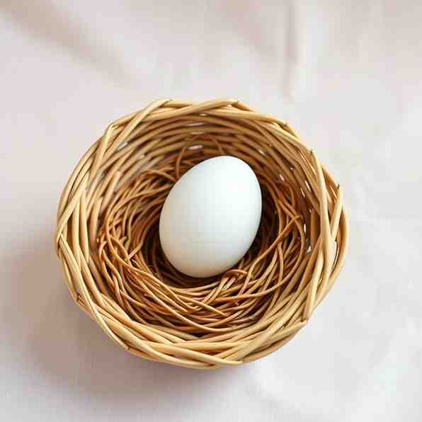 Egg in a Basket